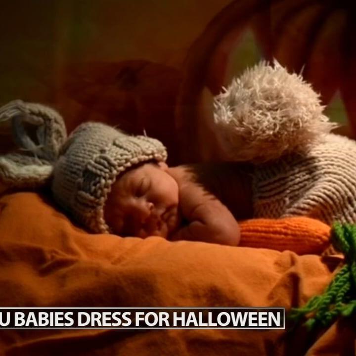Babies at U of L Hospital's NICU dress up for Halloween